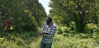 Desarrolla la UAT un proyecto para evaluar los residuos contaminantes de agroquímicos en el suelo