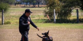 Estudiante de la UAT aporta su experiencia en adiestramiento canino al servicio comunitario