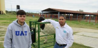 Estudiante de la UAT desarrolla innovador sistema de monitoreo de alimentación de borregos