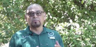 Aporta UAT innovaciones para la producción citrícola en Tamaulipas