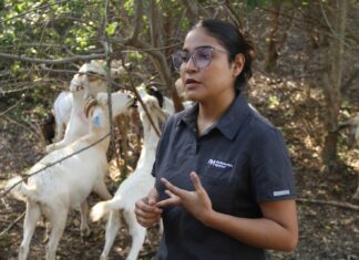 Analiza UAT innovaciones de mejoramiento para la producción caprina