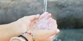 Investigadores del MIT utilizan levadura de cerveza para filtrar el agua